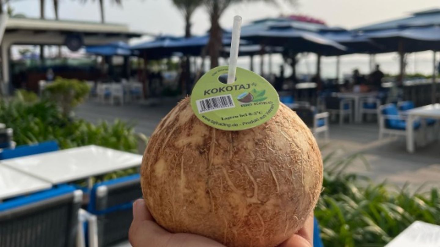 Premium Coconut Exports